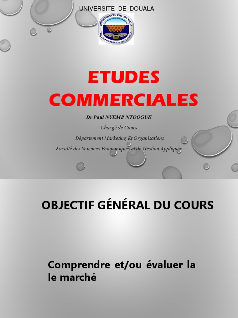 Guide des Études Commerciales | PDF