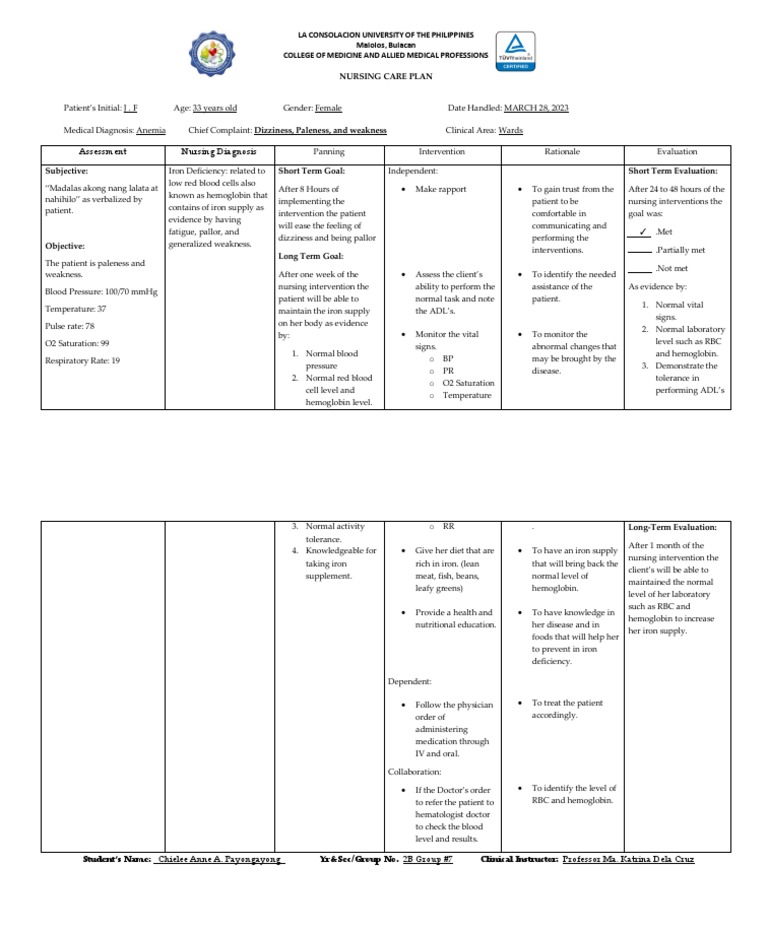 Nursing Care Plan for Anemia Management | PDF | Anemia | Health Sciences