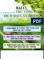 65168711,12,13.10.2021 CN 10 - Phong Tru Dich Hai Cay Trong