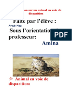 Présentation Sur Les Animaux en Voie de Disparition Ou Disparaitre Récemment