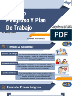 Proceso Peligroso Y Plan de Trabajo (Grupo 2) PDF