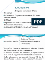 Reflujo Vesicoureteral PDF