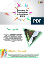 Programa de Emprendimieto FVEU PDF