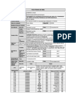 Ficha Técnica de Obra