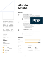 1 Professional - CV - Resume