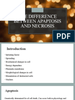 Necrosis Apoptocic Pathophysio