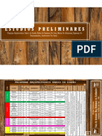 Etapa de Estudios Preliminares - DIAGNOSTICO PDF
