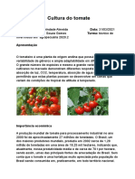 Cultura Do Tomate Luan PDF