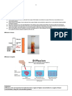 Notes - Movement of Substances