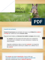 NUTRICIÓ EN ANIMALS Digestiu - Alb