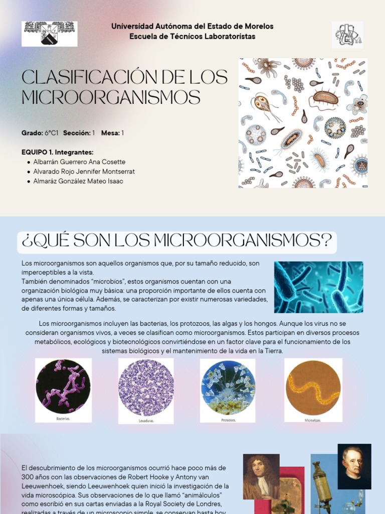 Clasificación de Microorganismos | PDF | Microorganismo | Las bacterias