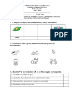 Prueba de Diagnóstico Ciencias Naturales