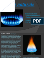 Proiect PPT Gaz Natural