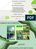 Formas de Nutricion PDF