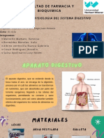 Morfofisiologia Del Sistema Digestivo