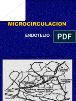 MICROCIRCULACION-ENDOTELIO.ppt
