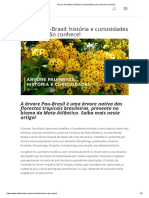 Árvore Pau-Brasil PDF