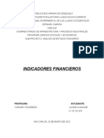 Indicadores Financieros Avancine