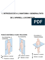 Introducció A L'anatomia I Generalitats de L'aparell Locomotor
