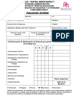 FORMATO Evaluación Externa