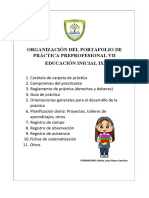 Organización Del Portafolio de Practica