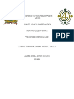 Experencia Casera PDF