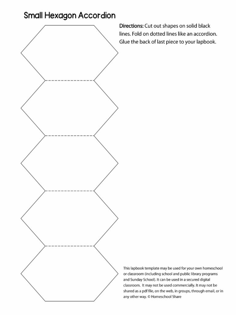 accordion-hexagon-small.pdf | PDF