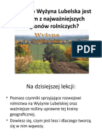 Dlaczego Wyżyna Lubelska Jest Jednym Z Najważniejszych Regionów