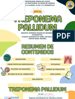 Treponema Pallidum PDF