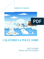 PROIECT Inspectie GR - II Calatorie La Polul Nord