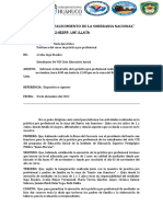 Informe de Practica Pre Profesional-1