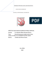 Denuncia, Derecho Penal Especial PDF