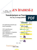 9 - Transkripsiyon Translasyon