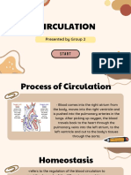 Circulation (Group 2)