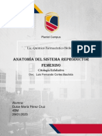 SRF PDF