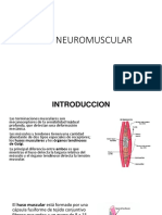 Huso Neuromuscular