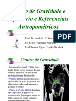 Centro de Gravidade 2012 PDF