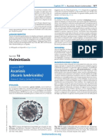 Ascaris Lumbricoides-Nelson PDF