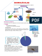 Biomoléculas Sesion 2 4to
