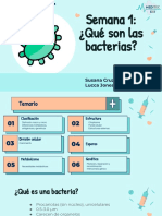 Semana 1 y 2 - Bacterias PDF