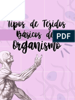 Tejidos PDF