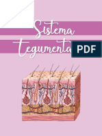 Sistema Tegumentario PDF