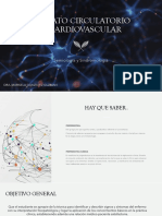 Aparato Cardiovascular Teoria