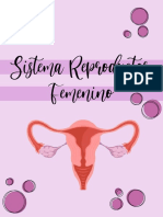 Sistema Reproductor Femenino