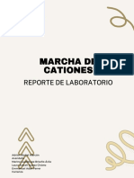 Reporte de Practica Marcha de Cationes