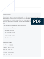 Cap 1 Procesos - GRD PDF