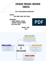 Proyecto de Investigación PDF