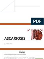 Ascariosis