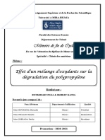 Mémoire Boukhiar Ikhlef PDF