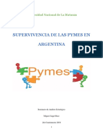 Supervivencia de Las Pymes en Argentina - Miguel Ruiz 25410655 PDF